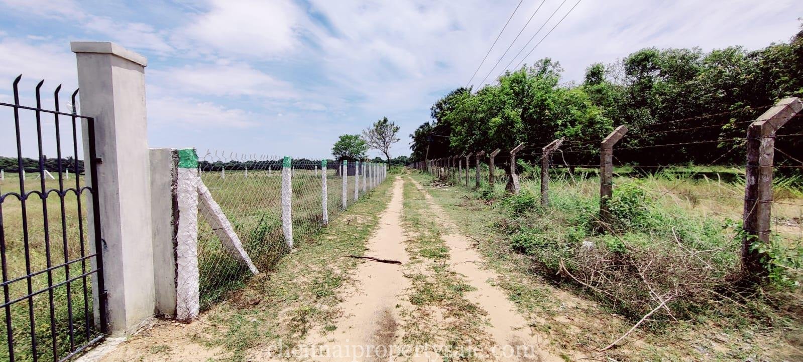 3 Acre Farm Land Sale in Ecr Panaiyur