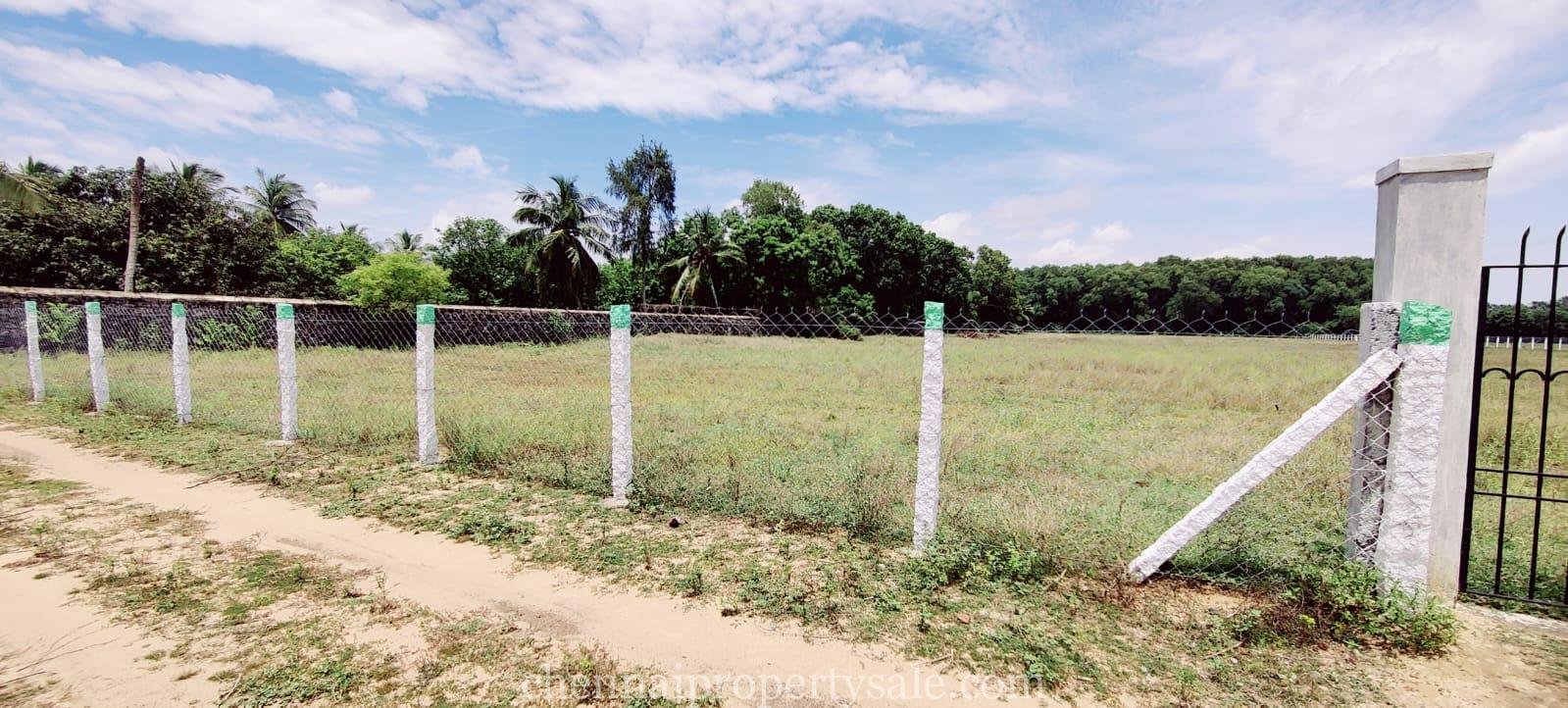 3 Acre Farm Land Sale in Ecr Panaiyur