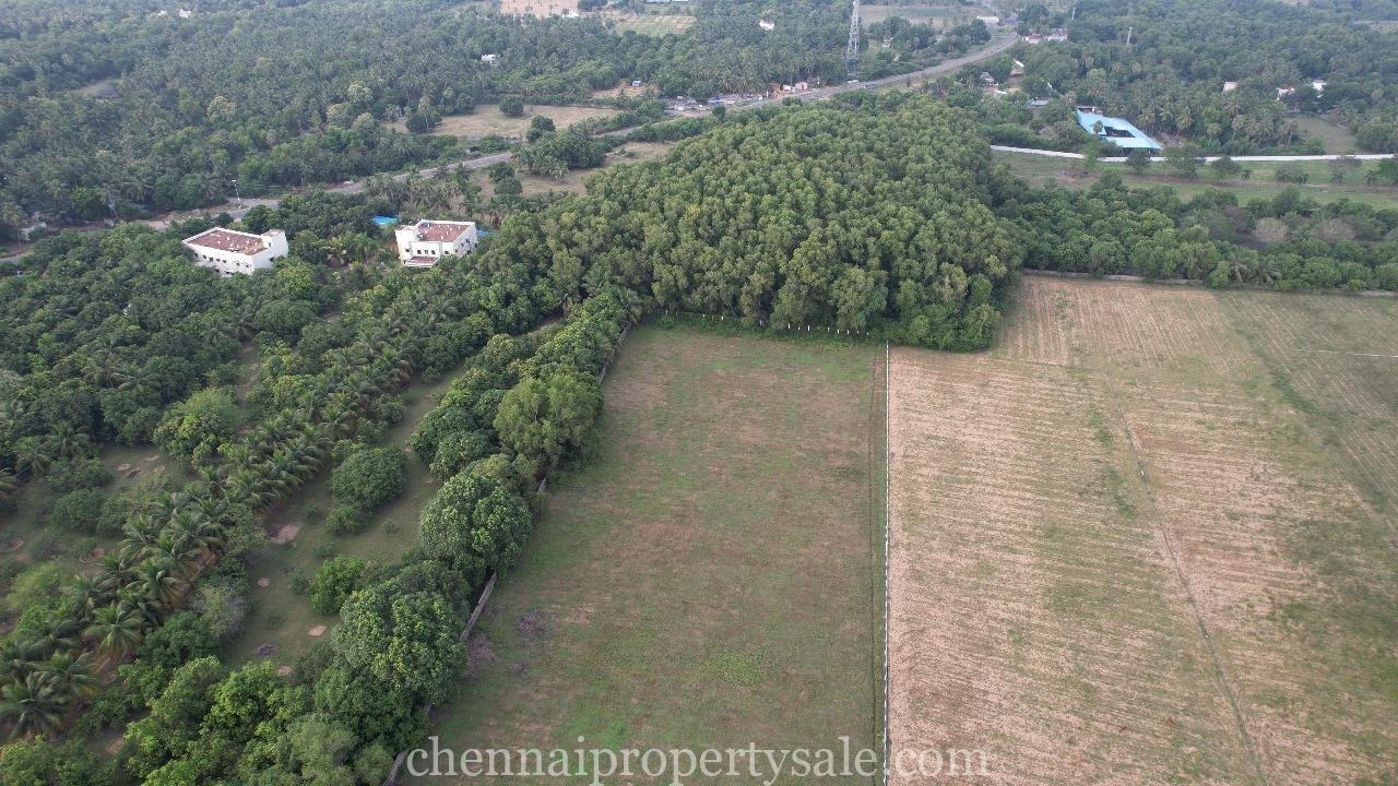 3 Acre Farm Land Sale in Ecr Panaiyur