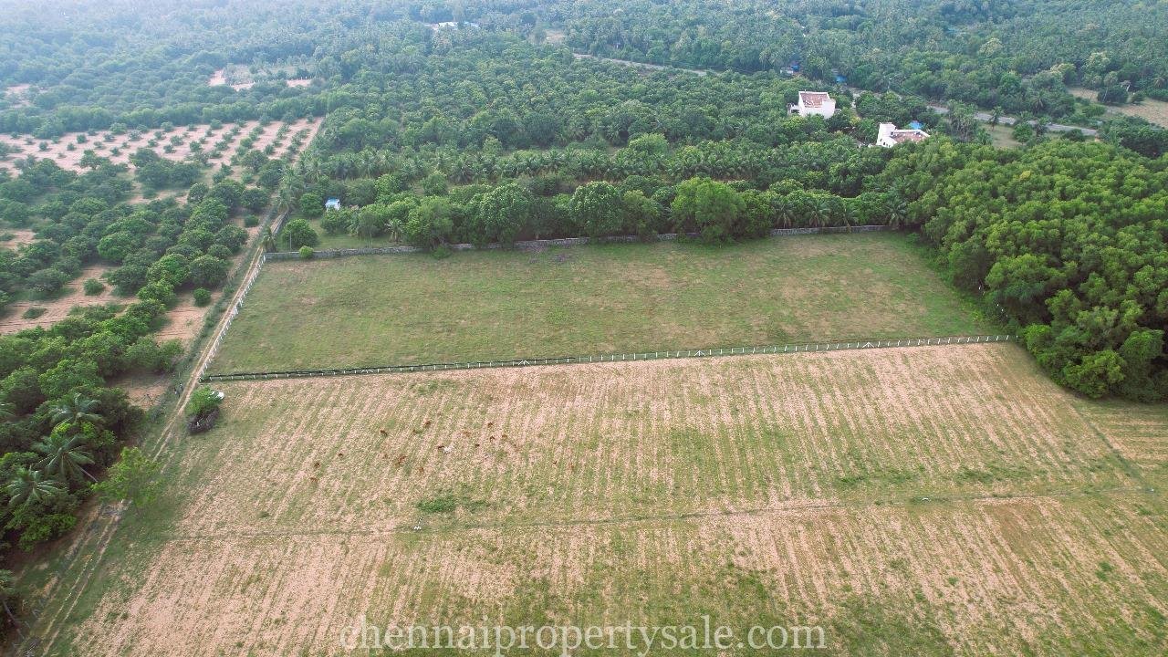 3 Acre Farm Land Sale in Ecr Panaiyur