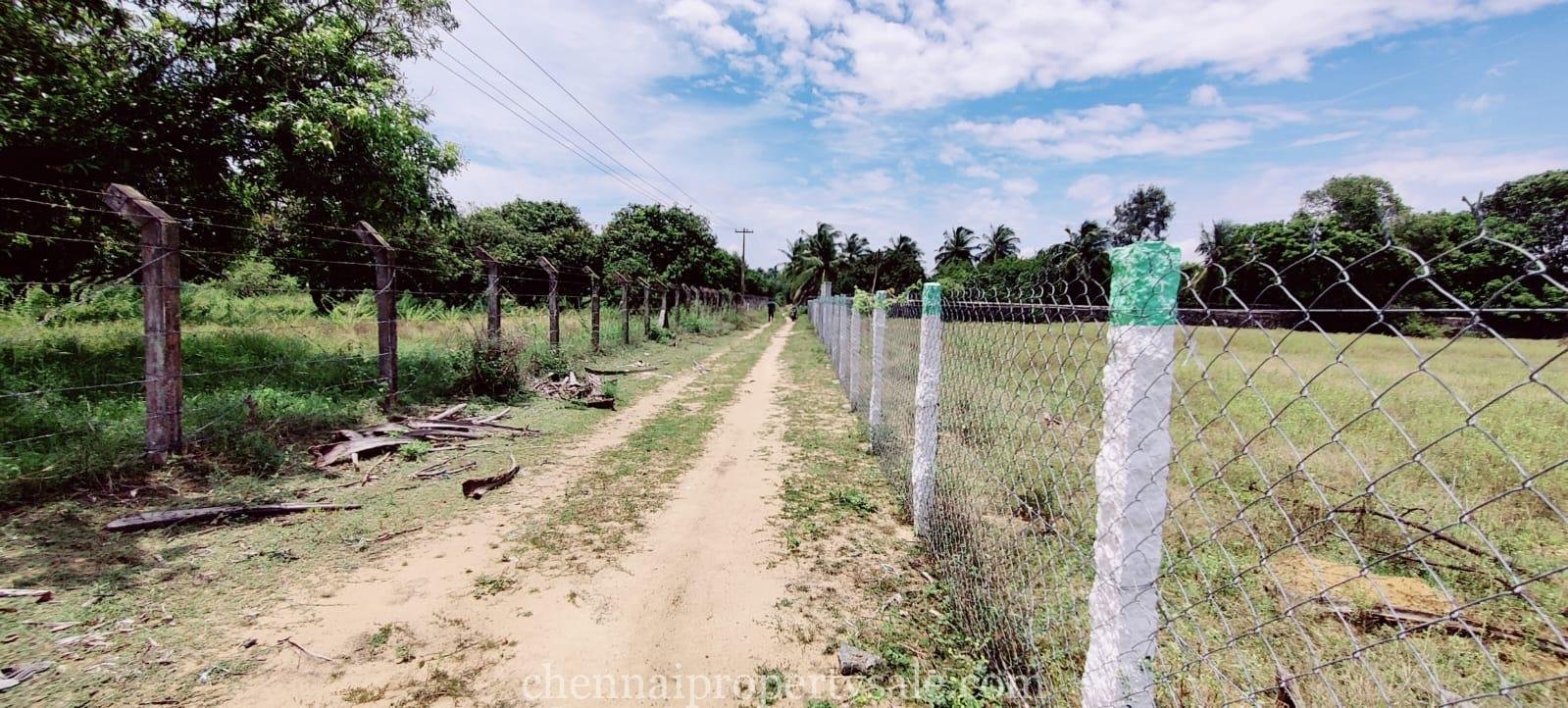 3 Acre Farm Land Sale in Ecr Panaiyur