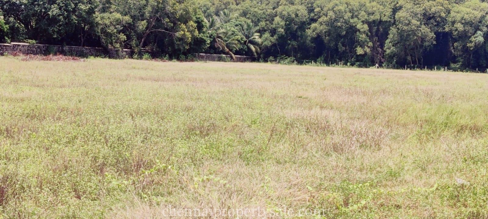 3 Acre Farm Land Sale in Ecr Panaiyur