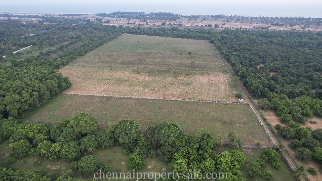 3 Acre Farm Land Sale in Ecr Panaiyur