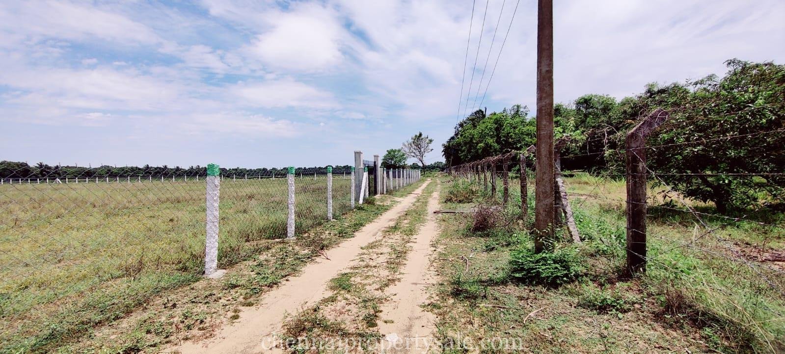 3 Acre Farm Land Sale in Ecr Panaiyur