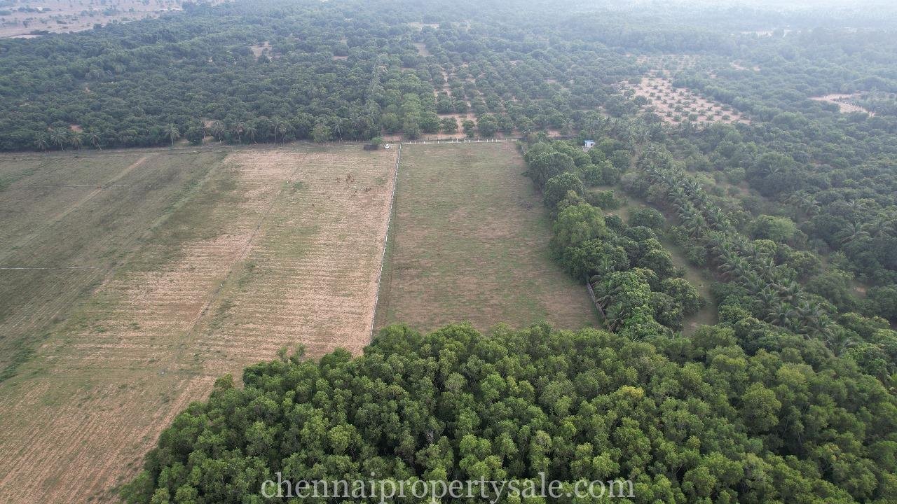 3 Acre Farm Land Sale in Ecr Panaiyur